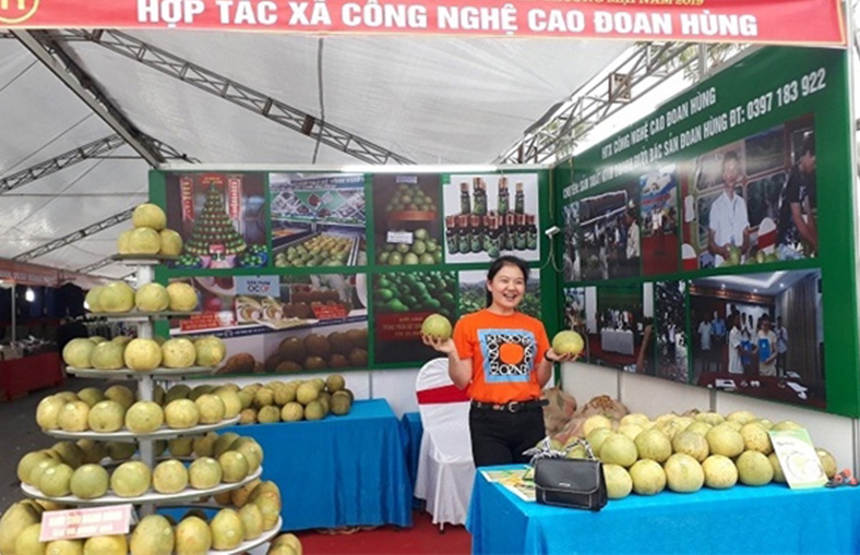 Tham gia các hội chợ, gian hàng thương mại giúp nông sản tỉnh Phú Thọ mở rộng thị trường tiêu thụ sản phẩm.