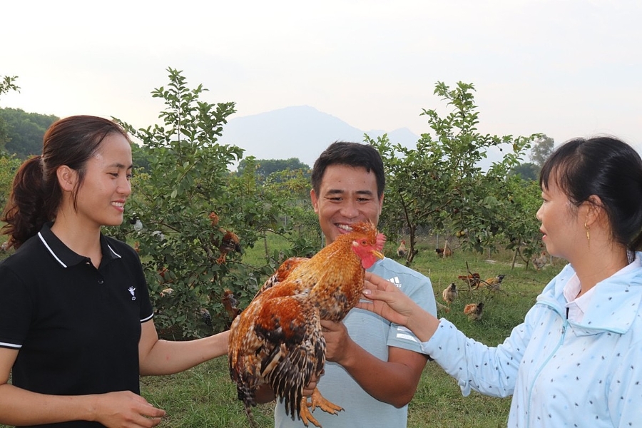 Trải qua dịch Covid 19 khiến nhiều HTX gặp khó khăn về vốn trong đó có HTX Tuyền Hiền.