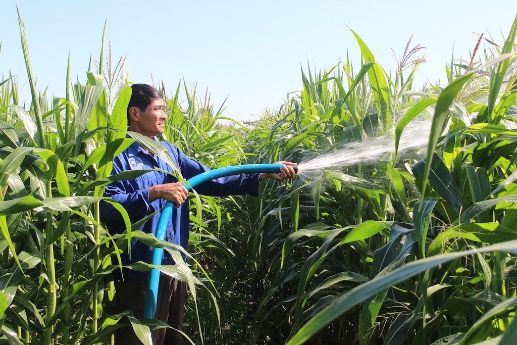 Hình thành các vùng sản xuất nông nghiệp tập trung đã giúp đồng bào dân tộc thiểu số huyện Xuân Lộc thay đổi cách nghĩ cách làm.