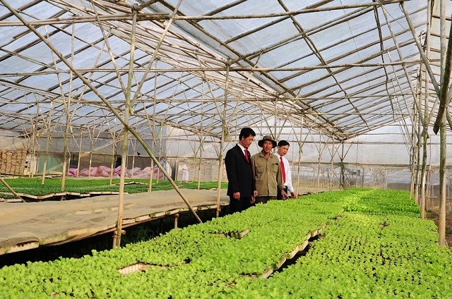Trong những năm qua, Agribank đã có nhiều chính sách tín dụng, nhiều chương trình hành động góp phần thực hiện thành công Chiến lược quốc gia về tăng trưởng xanh hướng tới phát triển bền vững của Việt Nam.