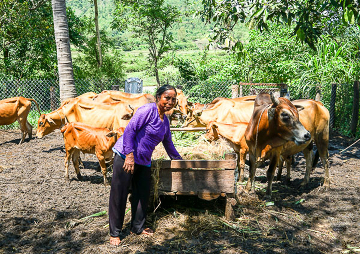 Dạy nghề nông thôn ở Ma Nới đang cho thấy hiệu quả tích cực (Ảnh TL).