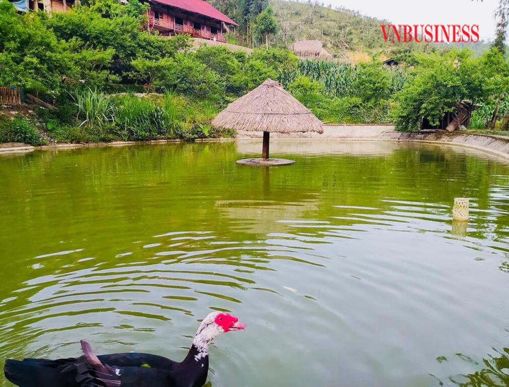 Hàng chục hộ ở Bản Liên đầu tư xây dựng homestay.