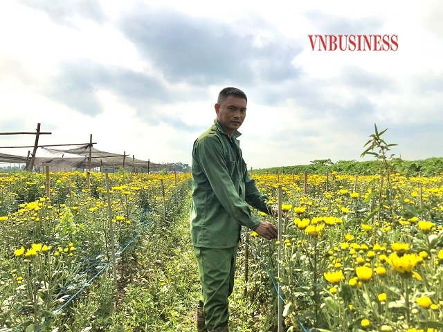 Các thành viên HTX Hoàng Xá