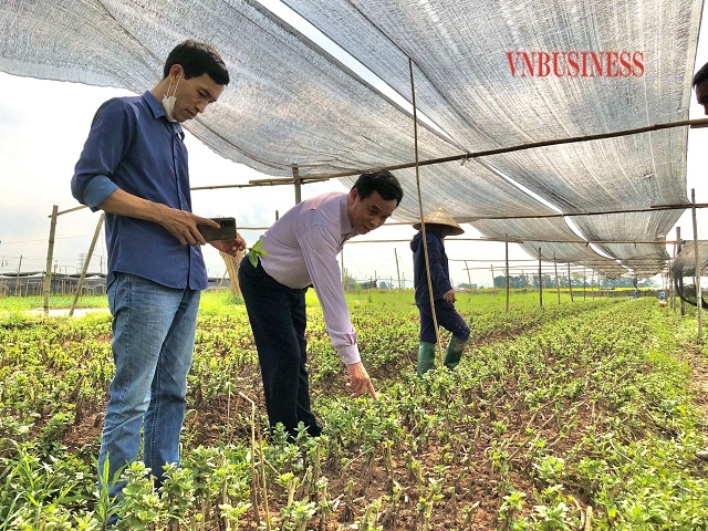 Ban giám đốc HTX Hoàng Xá động viên nông dân canh tác, bám ruộng, thúc đẩy sản xuất