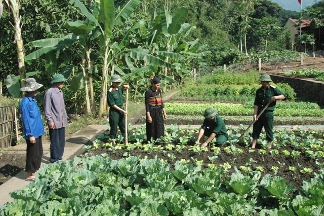 Nhiều chính sách, dự án hỗ trợ đồng bào dân tộc thiểu số huyện Mường Lát đang phát huy hiệu quả.