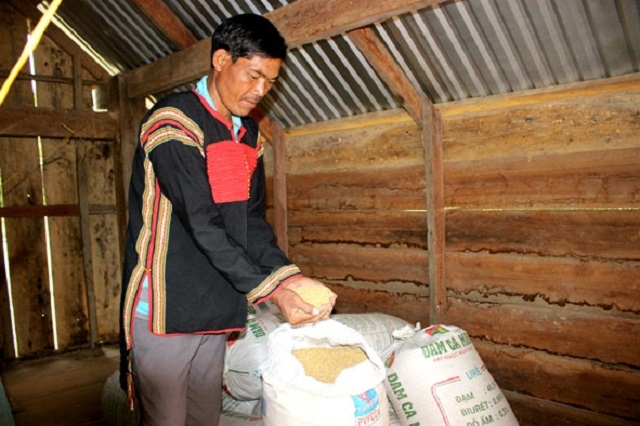 Cuộc sống của đồng bào Ê đê đã khấm khá hơn trước nhờ các chính sách hỗ trợ từ Nhà nước và sự chủ động của người dân trong sản xuất.