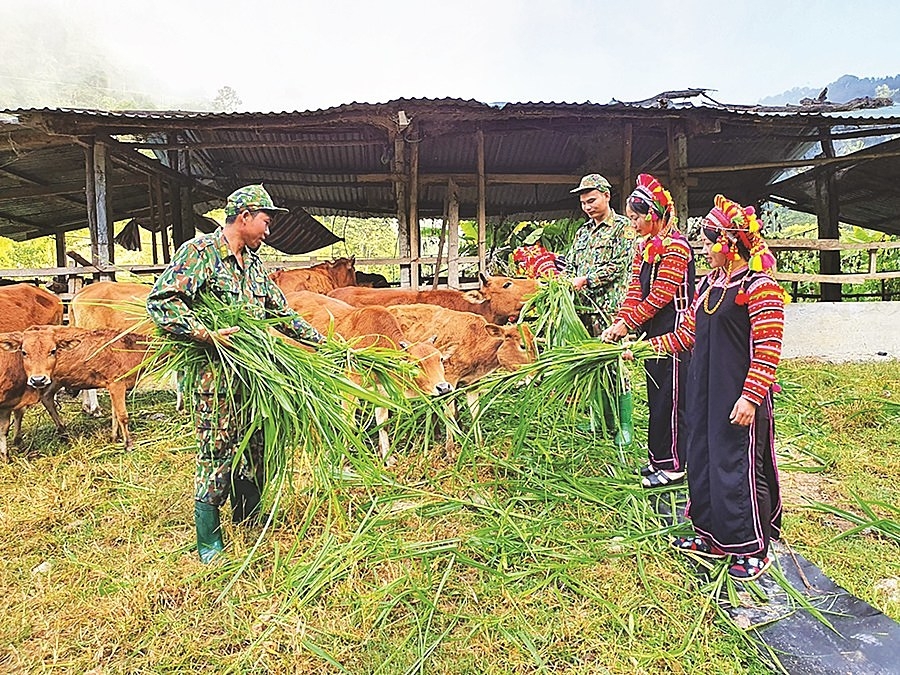 Các chiến sỹ bộ đội biên phòng giúp đồng bào La Hủ chăn nuôi theo mô hình bò sinh sản (Ảnh TL)