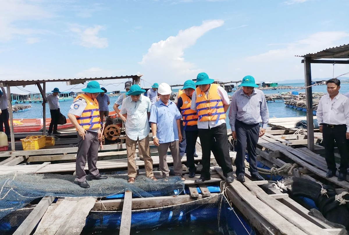 Lại Sơn đang kết hợp nghề nuôi cá lồng với du lịch sinh thái (Ảnh TL).