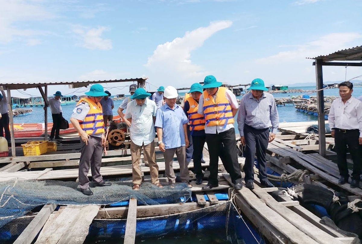 Lại Sơn đang kết hợp nghề nuôi cá lồng với du lịch sinh thái (Ảnh TL).