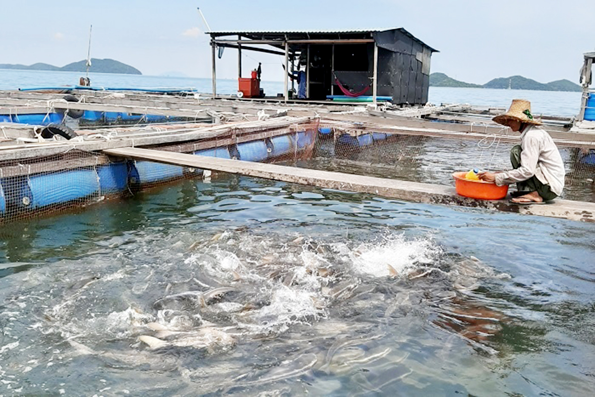 Đào tạo nghề giúp người dân địa phương nâng cao giá trị sản xuất (Ảnh TL).