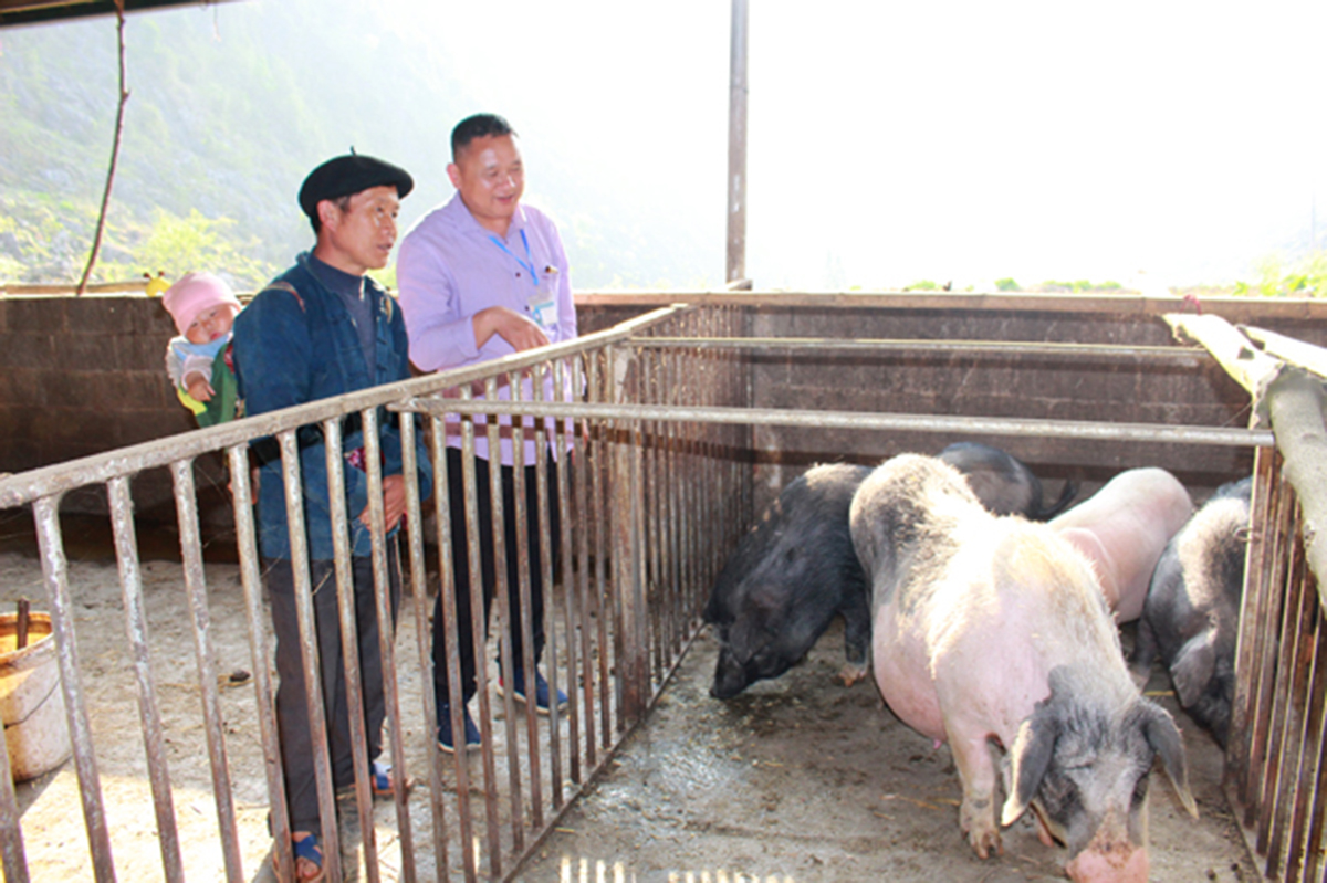 Các chính sách hỗ trợ đang giúp người dân tộc thiểu số ở Đồng Văn xây dựng kinh tế, giảm nghèo bền vững.