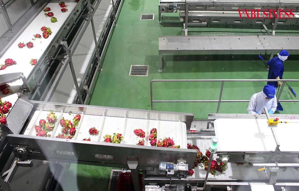 Nhu cầu kho lạnh cho bảo quản rau quả phục vụ xuất khẩu đang rất cao, trong khi nguồn cung còn hạn chế.