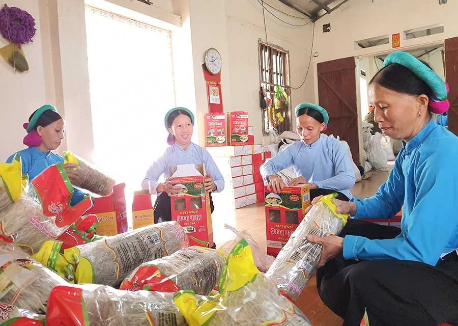 Nghề làm miến sạch giúp người Sán Chỉ nâng cao thu nhập, ổn định cuộc sống.