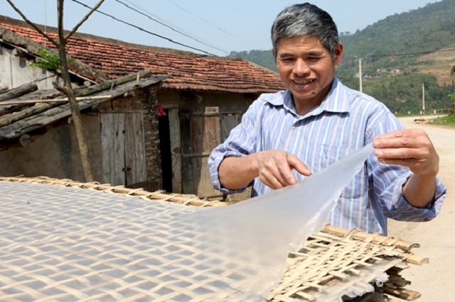 Quá trình phơi được đặt trên cách mặt đất 70-90cm nhằm hạn chế bụi bẩn ảnh hưởng đến chất lượng miến.