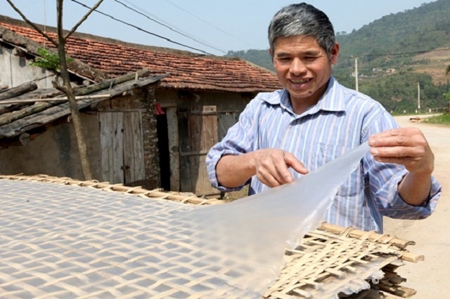 Quá trình phơi được đặt trên cách mặt đất 70-90cm nhằm hạn chế bụi bẩn ảnh hưởng đến chất lượng miến.