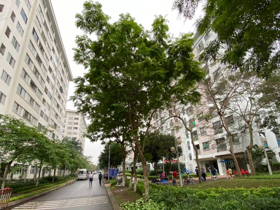 Hiện nay khó có thể kéo giảm giá chung cư xuống dưới 25 triệu đồng/m2