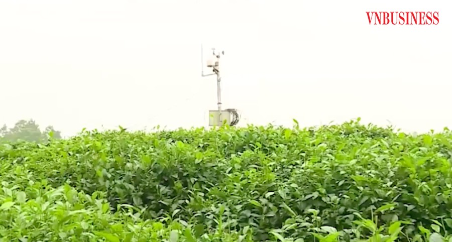 Từ năm 2018, những trạm quan trắc cảnh báo, dự báo thời tiết ứng dụng công nghệ iMetos đã được lắp đặt ở nhiều vùng chè tỉnh Thái Nguyên.