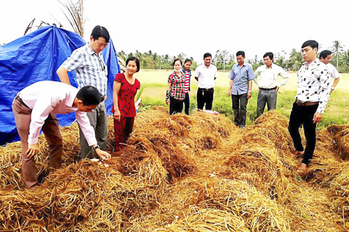 Xã sẽ tiếp tục nhân rộng các mô hình sản xuất điểm để nâng cao thu nhập cho người dân (Ảnh TL).