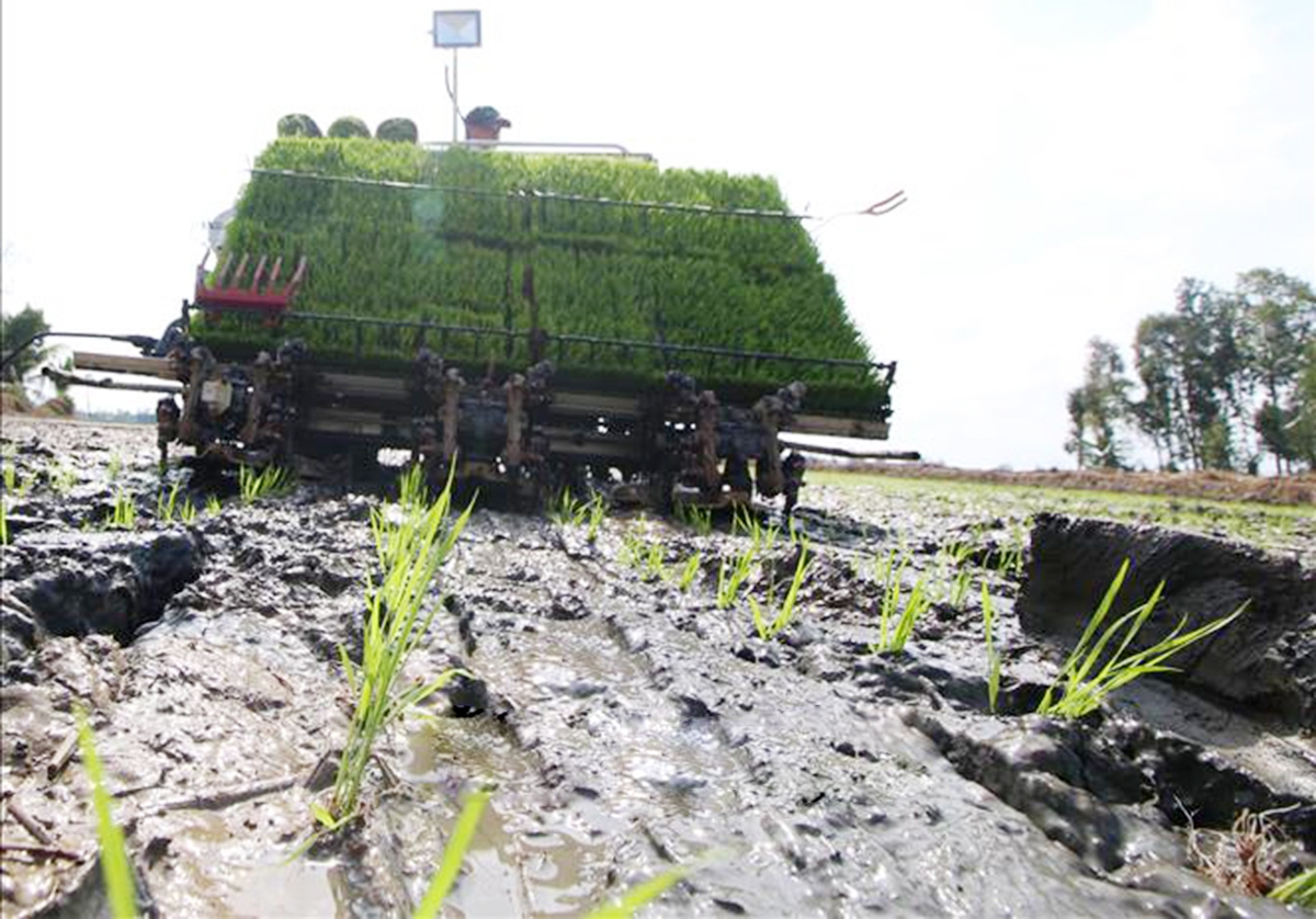 Xã Vị Thắng đẩy mạnh dạy nghề giúp nông dân phát triển nông nghiệp thông minh (Ảnh TL).