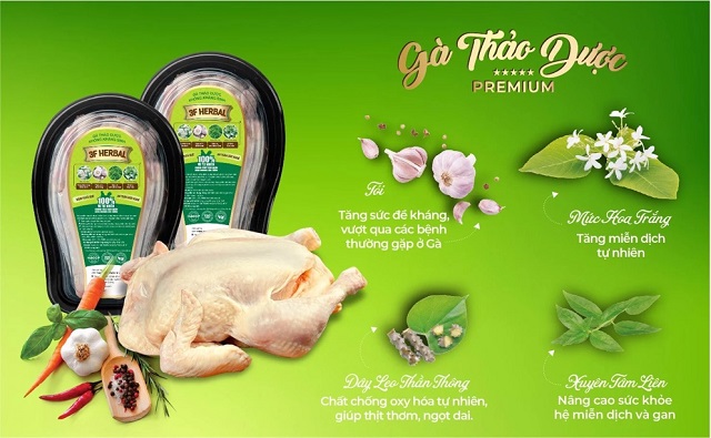 Gà Thảo Dược – sự lựa chọn hoàn hảo để tăng sức đề kháng cho bạn và gia đình