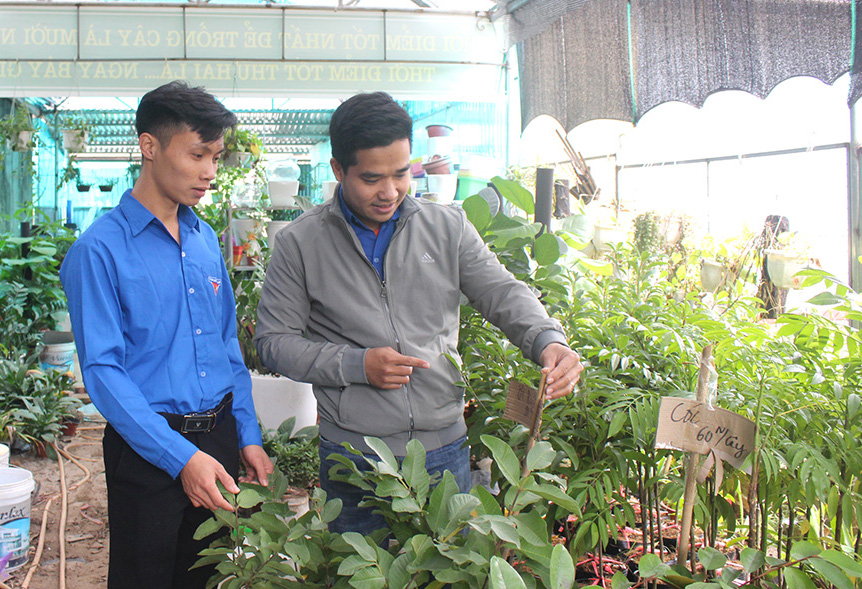 Hợp tác xã Nông nghiệp và dịch vụ Mường Cúc của anh Hà Văn Sao đã tạo việc làm ổn định cho nhiều lao động là ĐVTN tại địa phương.