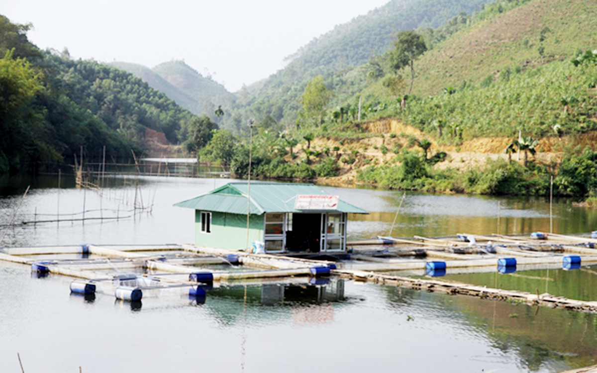 Nuôi cá lồng trên địa bàn huyện cũng đang cho giá trị kinh tế cao (Ảnh TL).