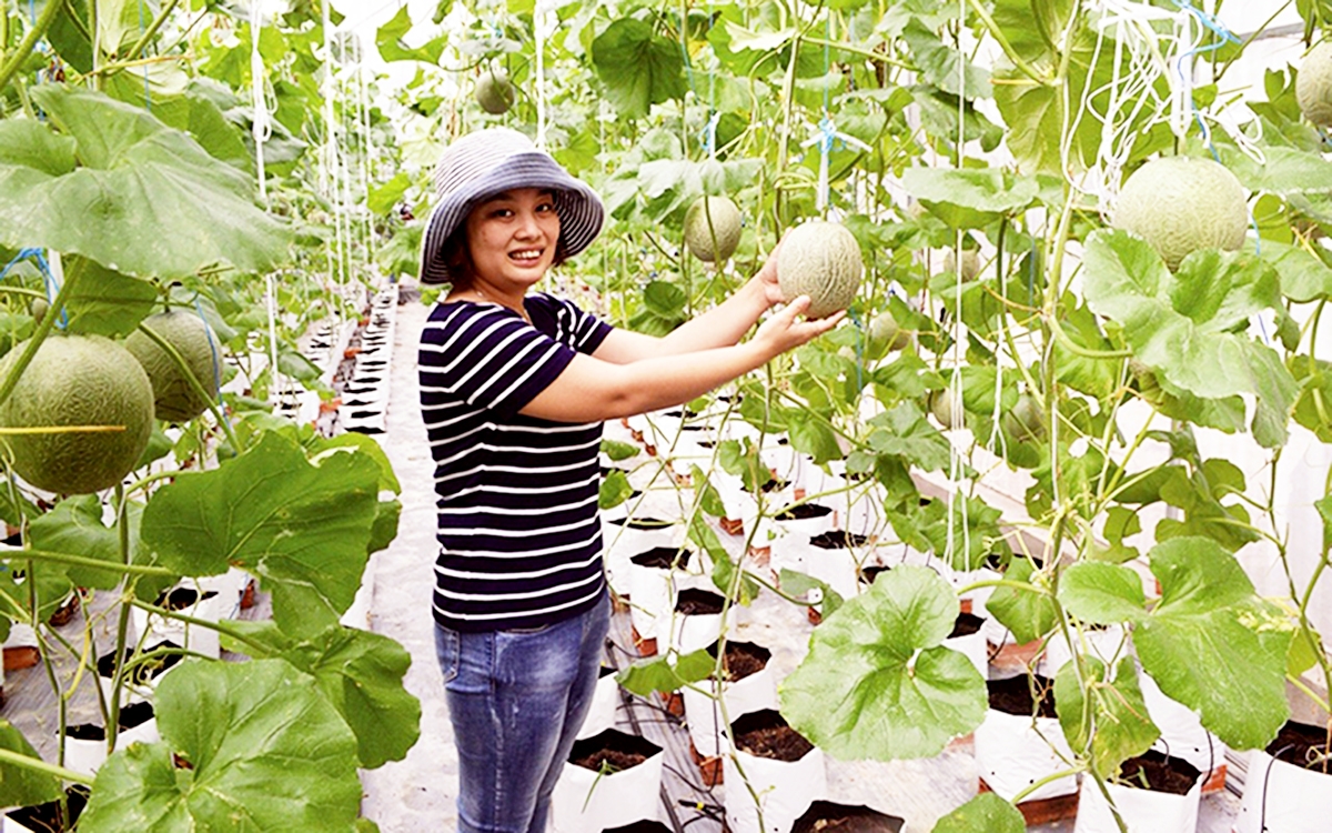 Được học nghề giúp nông dân ứng dụng kỹ thuật, công nghệ cao vào sản xuất (Ảnh TL).