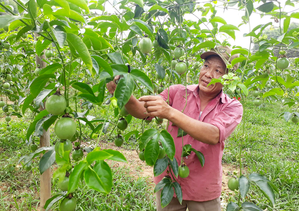 Vĩnh Thủy chú trọng đào tạo nghề, nâng cao trình độ cho người dân (Ảnh TL).