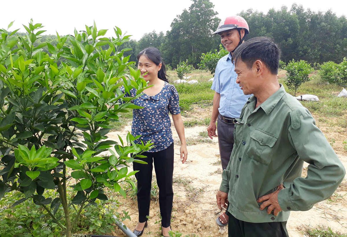 Dạy nghề là chìa khóa giúp xã Vĩnh Thủy nâng cao hiệu quả chuyển đổi sản xuất nông nghiệp (Ảnh TL).