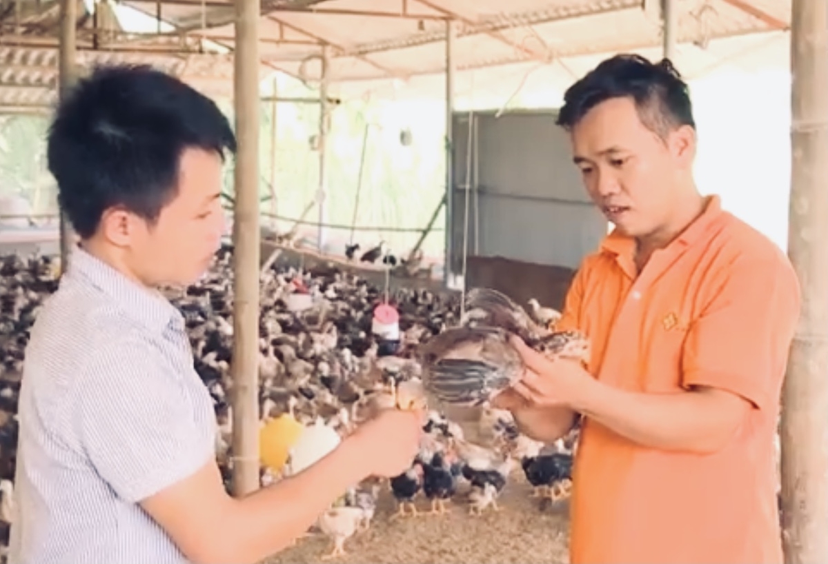 Với 28 thành viên tham gia, vốn điều lệ trên 4 tỷ đồng, đến nay HTX đã tạo công ăn việc làm thường xuyên, ổn định cho 12 lao động.