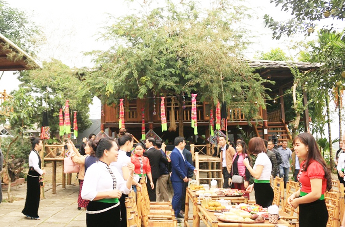 Chuyên nghiệp và thích ứng linh hoạt giúp các HTX du lịch cộng đồng hoạt động ổn định.