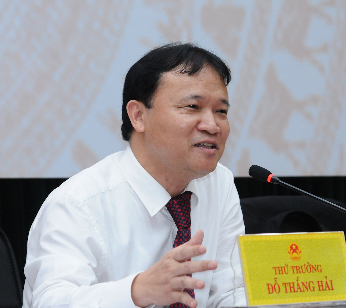 Thứ trưởng Bộ Công Thương Đỗ Thắng Hải.