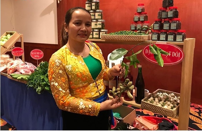 Phụ nữ Mường ở xã Chí Đạo phát triển thương hiệu cho cây dổi.