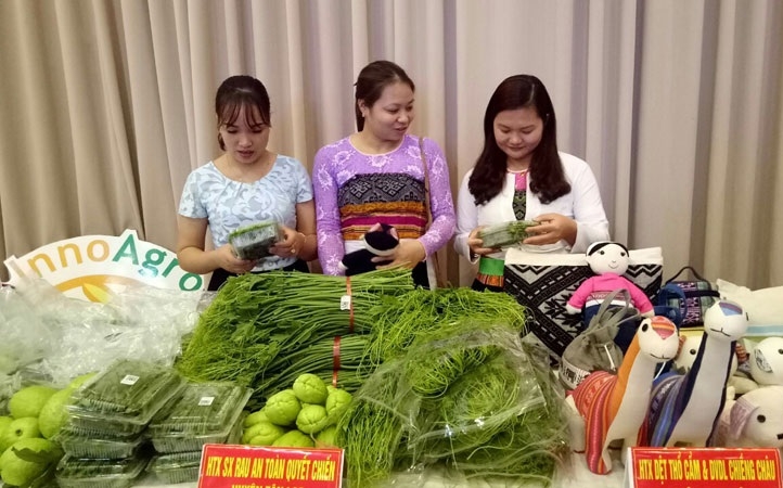 Thương hiệu rau su su Hòa Bình đã được khẳng định nhờ sự nỗ lực của HTX Quyết Chiến.