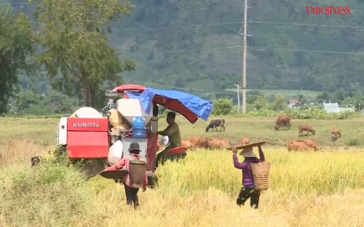 Vai trò của HTX đã giúp nhiều hộ thành viên nâng cao thu nhập, xóa đói, giảm nghèo