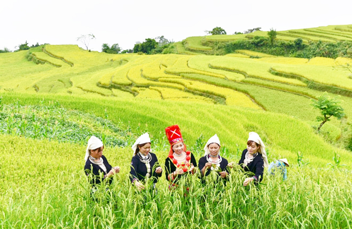 Phát triển nông nghiệp hàng hóa gắn với du lịch sinh thái là hướng đi bền vững được Na Hang chú trọng trong thời gian tới.