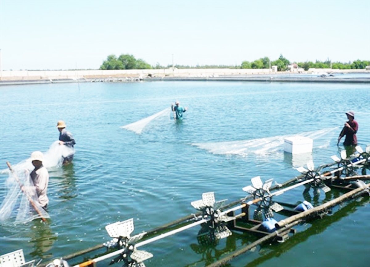 Xã sẽ chủ động nâng cao chất lượng dạy nghề trong thời gian tới (Ảnh TL).