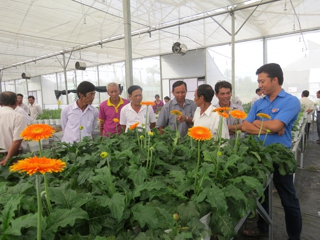 Đầu tư nhà màng công nghệ cao giúp nâng cao chất lượng hoa kiểng của HTX Tân Quy Đông.