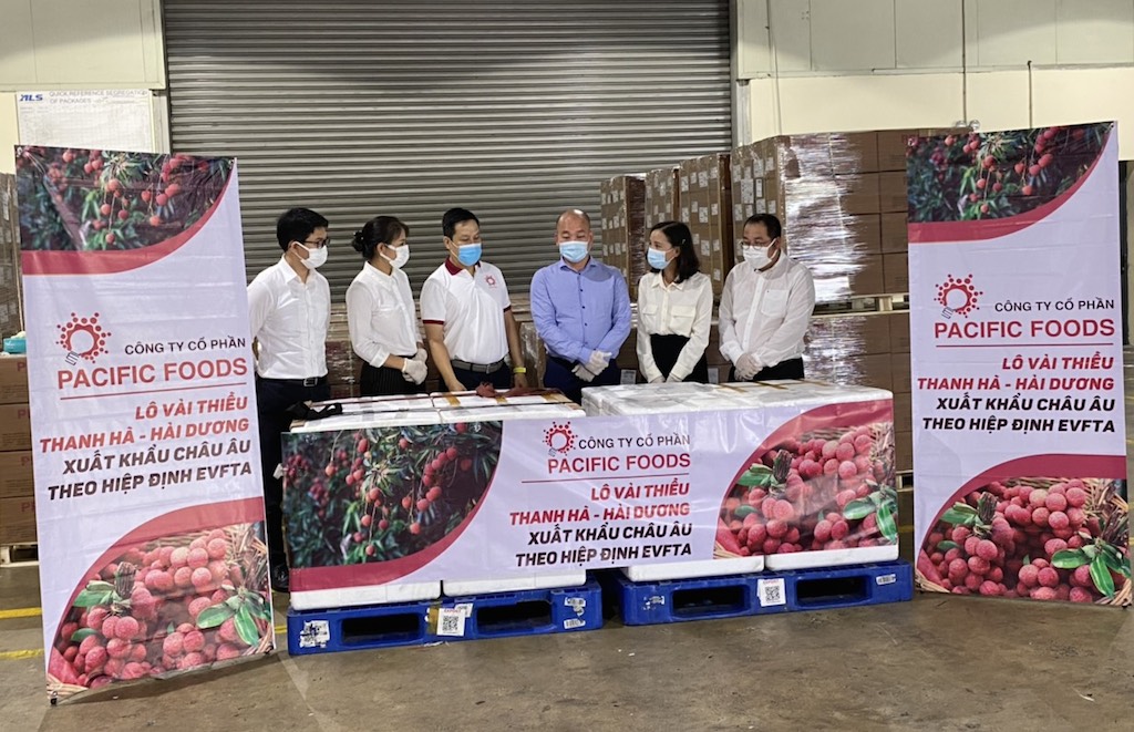 Lô vải thiều Thanh Hà - Hải Dương được CTCP Pacific Foods XK đi thị trường EU qua đường hàng không hôm 7/6/2021.