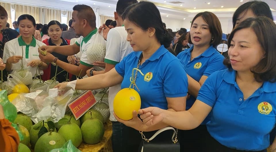 HTX Nông Thịnh tham gia xúc tiến thương mại để xây dựng thương hiệu trên thị trường.