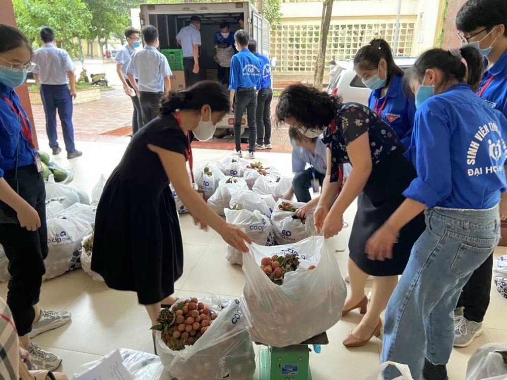 Nông sản được cân, đóng túi và vận chuyển về nơi tập kết.