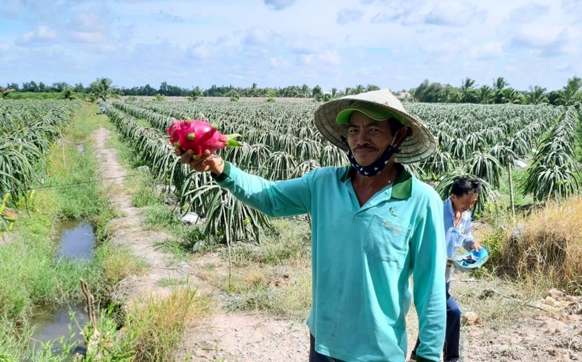 Được học nghề giúp người nông dân nâng cao kiến thức, vững tin sản xuất (Ảnh TL).
