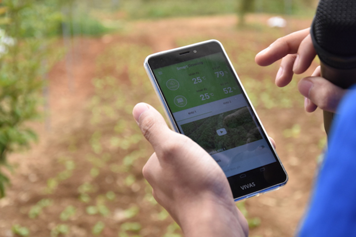 Nông dân cũng đang triển khai phần mềm tưới nước qua điện thoại (Ảnh ST).