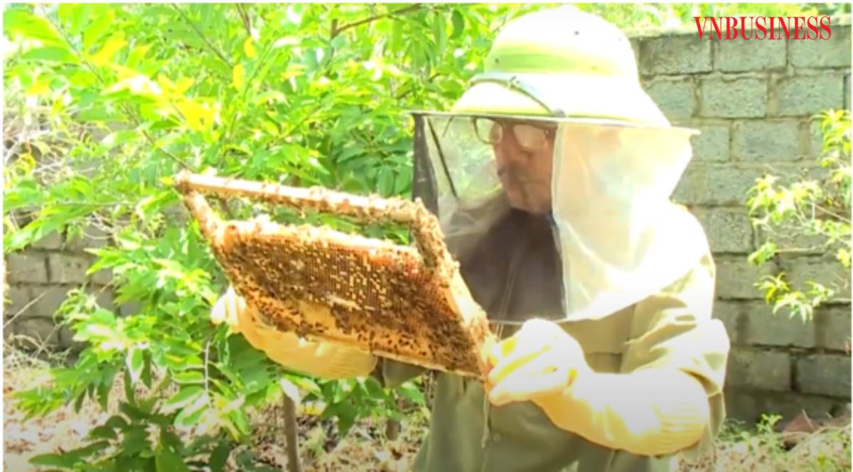 Ông Trần Duy Thái đang kiểm tra đàn ong trong vườn nhà mình