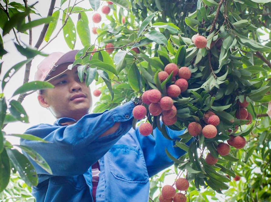 Việc hỗ trợ người dân, HTX tiêu thụ nông sản là rất quan trọng trọng thời điểm này.