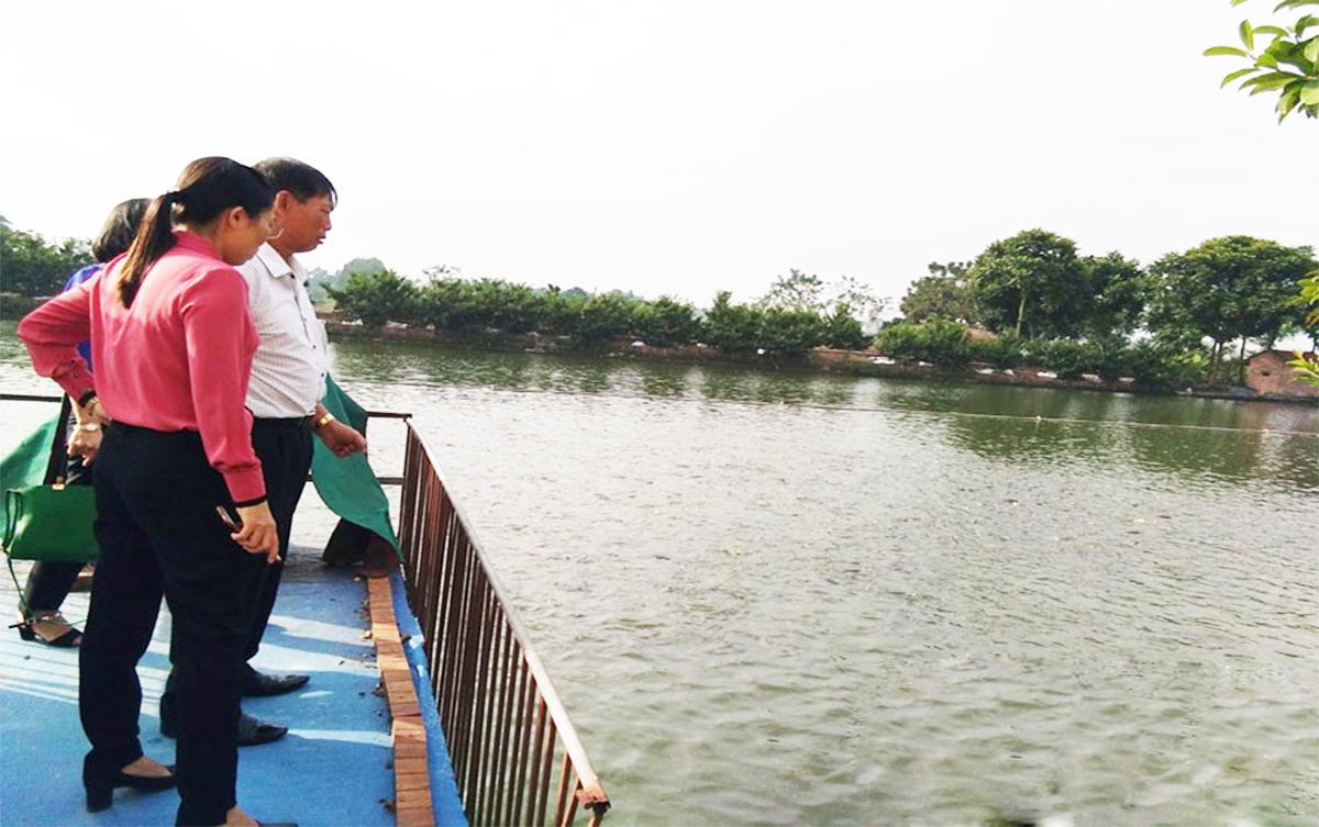 Giáo dân huyện Lương Tài đang chủ động liên kết để thành lập các HTX, phát triển nông nghiệp theo quy mô lớn.