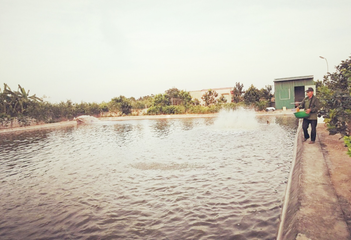 Những điển hình cần được nhân rộng để truyền cảm hứng làm giàu cho giáo dân trên địa bàn huyện.