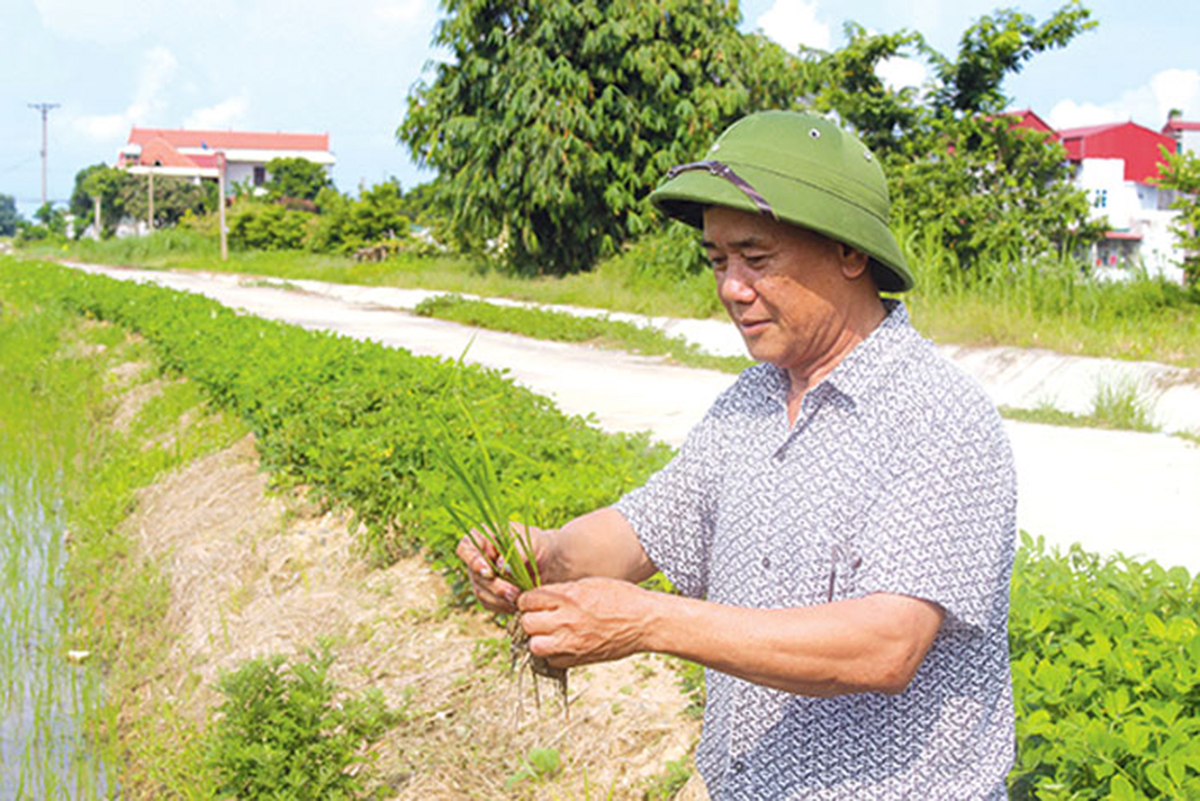 Những người thắp lửa ở xứ đạo Lương Tài luôn là những tấm gương mẫu mực, truyền cảm hứng cho bà con giáo dân.