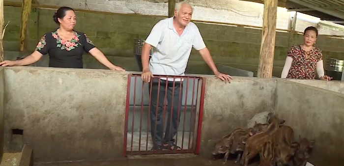 Việc tái đàn sau dịch tả lợn châu Phi còn gặp khó khăn.