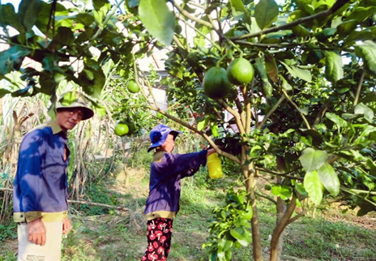 Được học nghề giúp nông dân tự tin chuyển đổi sản xuất, gặt hái thành công (Ảnh TL).
